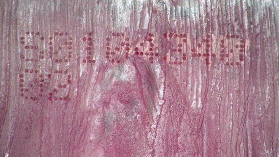 PSS2000_01_stamped hot billet with low resolution